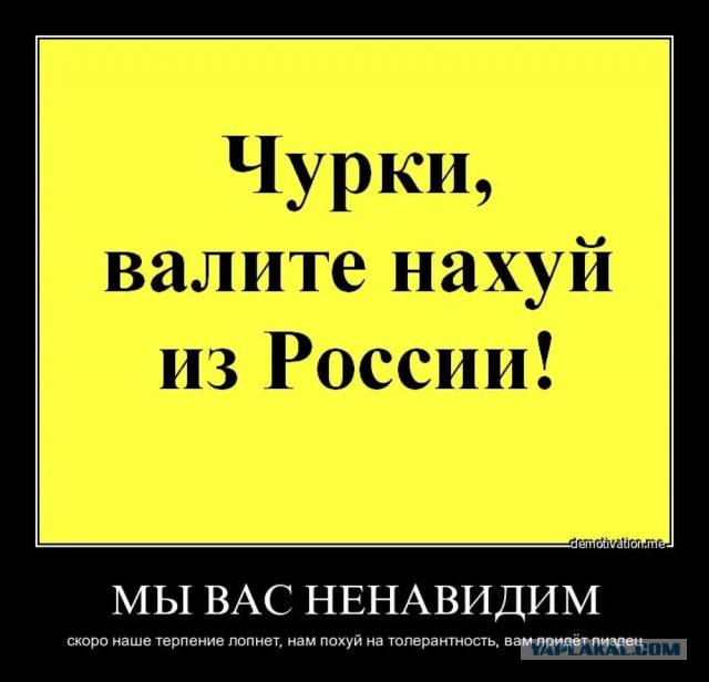 В Твери умерла майор полиции, которую сбил выходец из Азербайджана— он до сих пор не арестован