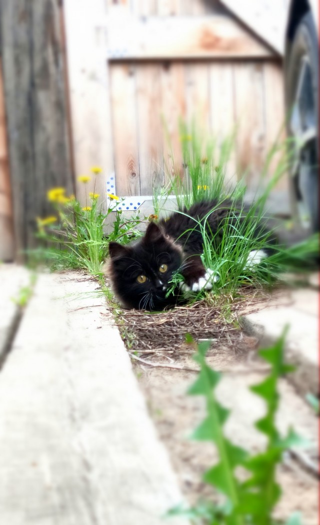 Это на завтра.