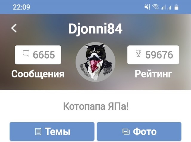 Жизнь домашнего приюта для котеек 567