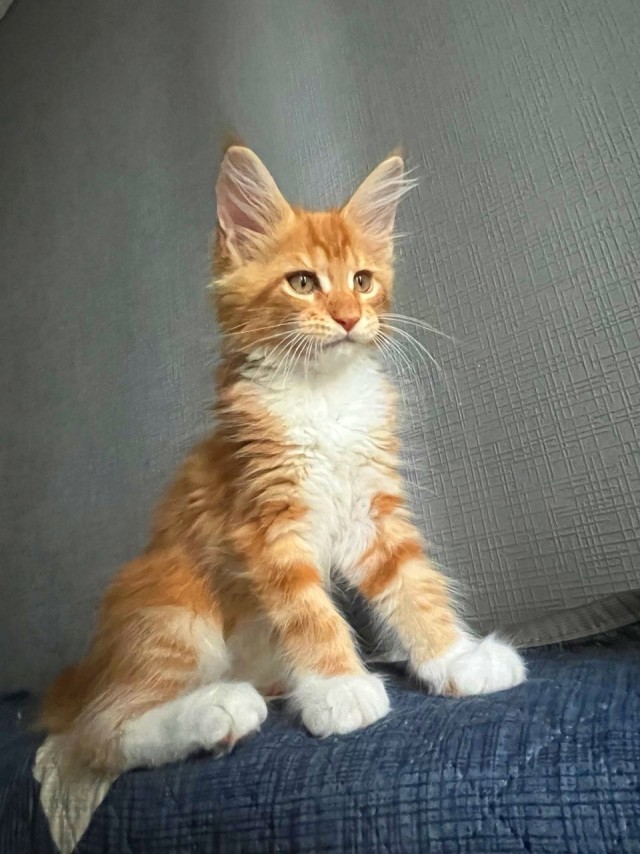 Не забывайте прогревать жизненно важные органы!