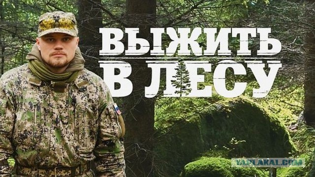 Выжить в лесу