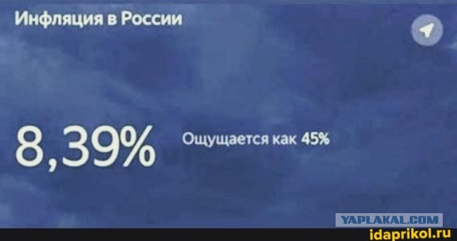 Крик души