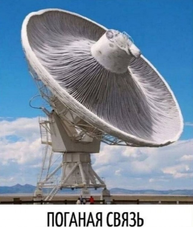 Так себе картинки 06.03.26