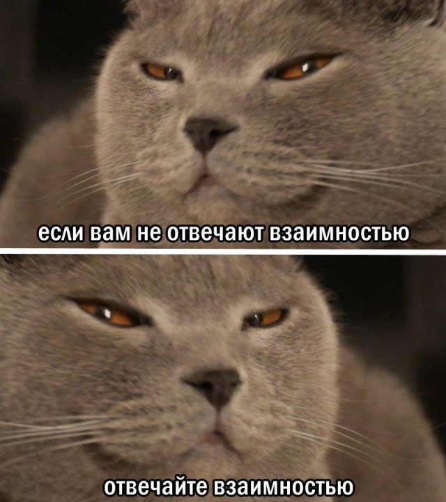 Картинки всякие разные невпопад 1.2