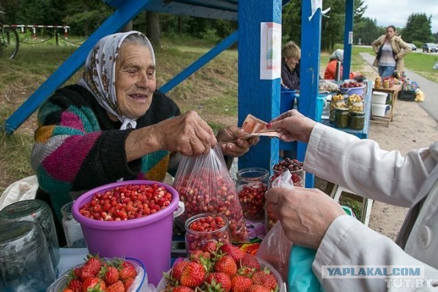Бабушки начали продавать на трассах китайскую клубнику под видом собственной