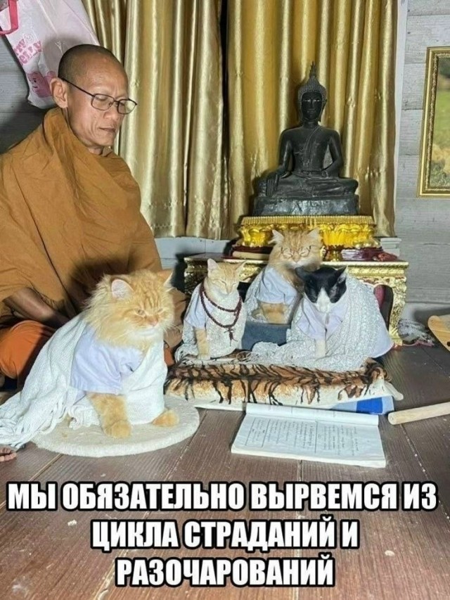 Среды картинки