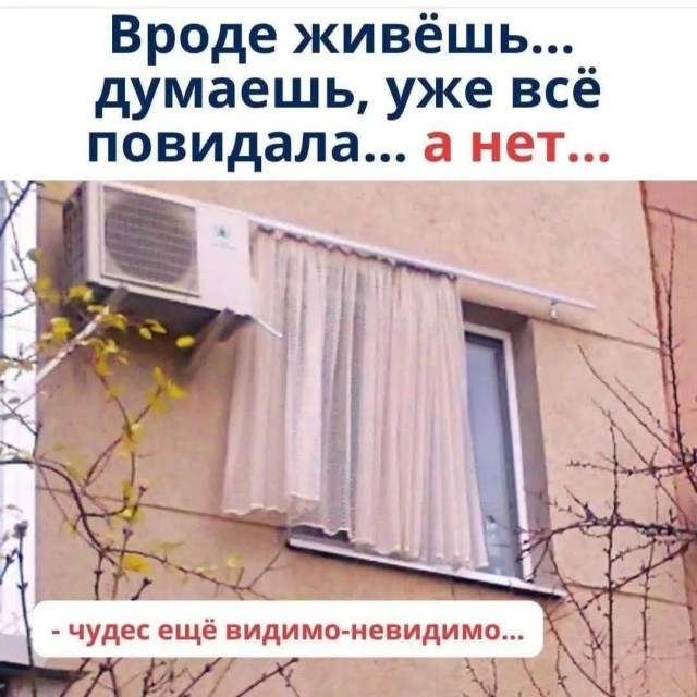 Так себе картинки 06.05.26