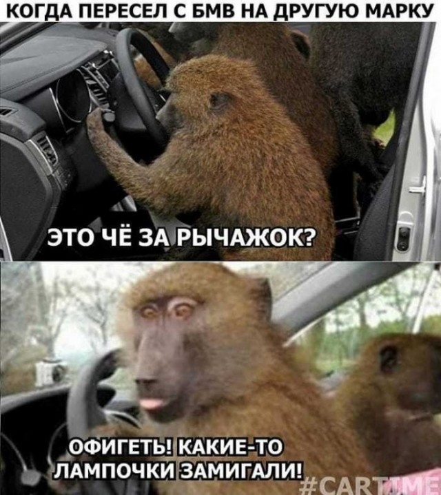 Веселые картинки в понедельник (06.07)