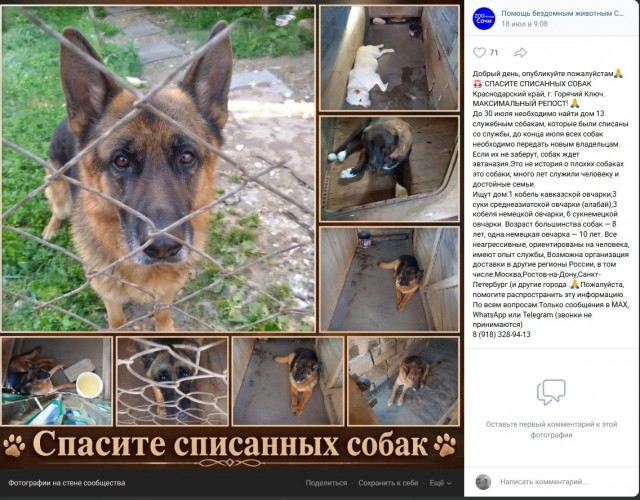 Не собакочетверг, но всё же! Может кто и заберёт!
