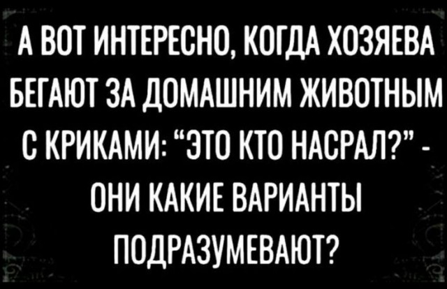 Картинки для деградации 245 (разной степени свежести)