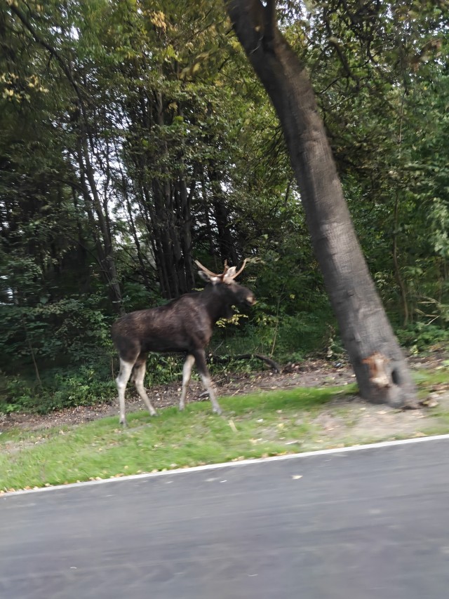 Москва 08.09.26
