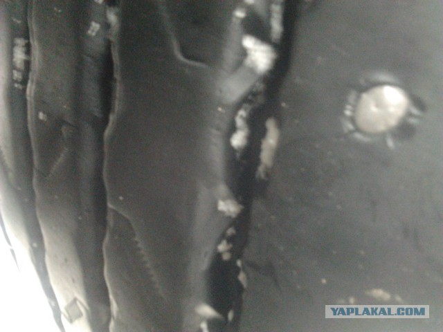 Где яблоки растут!