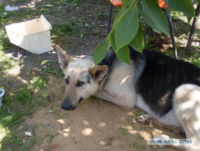 2-й транш пиваса для рукожопа или гараж