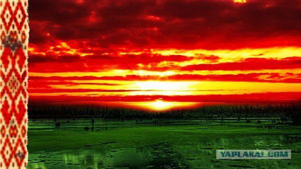 Просто так!