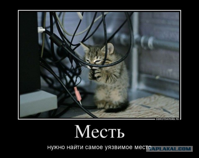 О нерадивых юзерах и терпеливом сисадмине