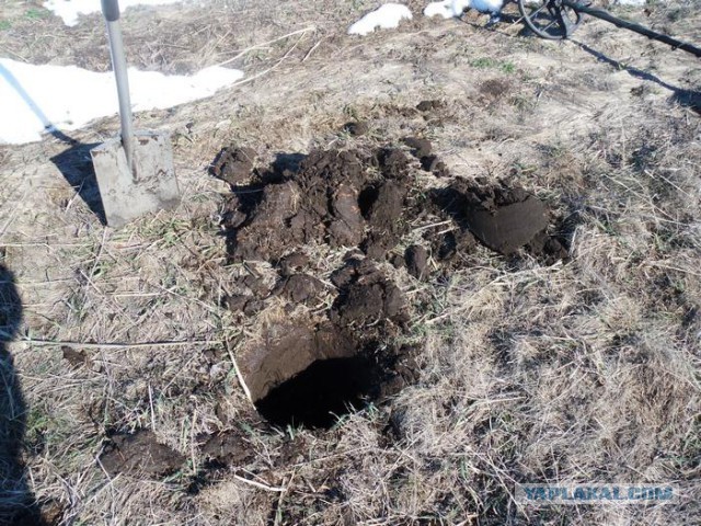 Кладоискательство & нумизматика