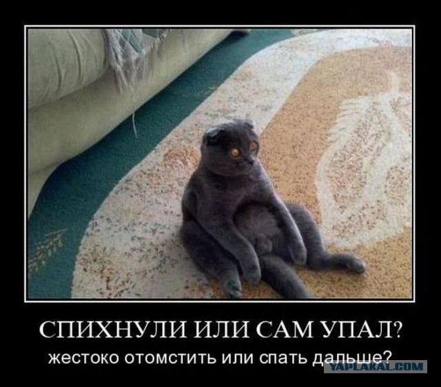 Подборка смешных картинок :)