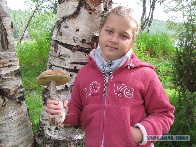 Путешествие на Кольский.