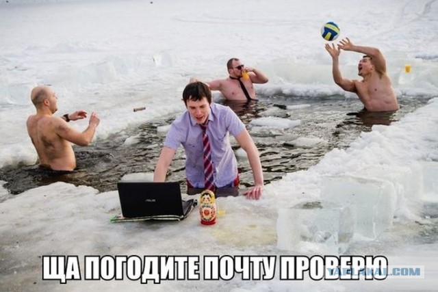 Свежая подборка из тырнетов