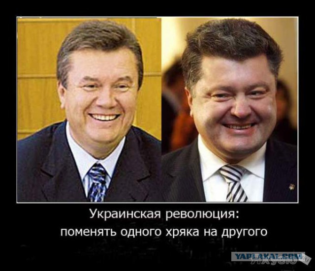 Забавные картинки из Сети