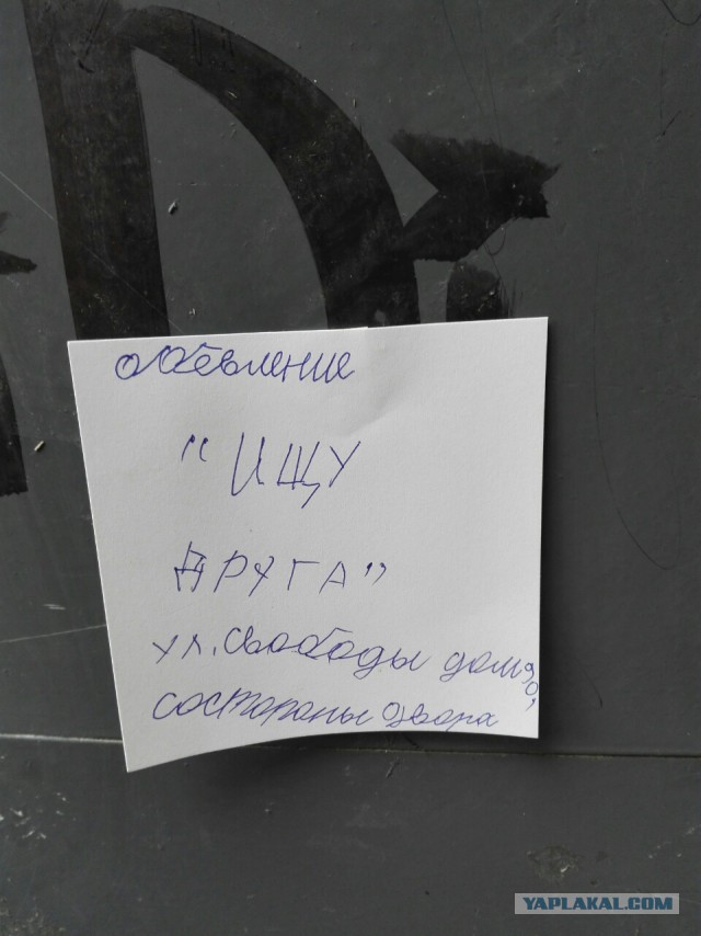 Картинки из инета