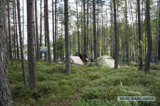На Субару на Рыбачий