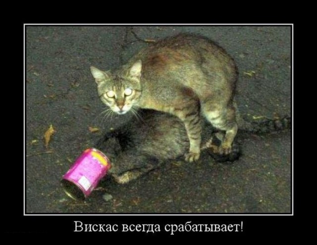 Подборка картинок