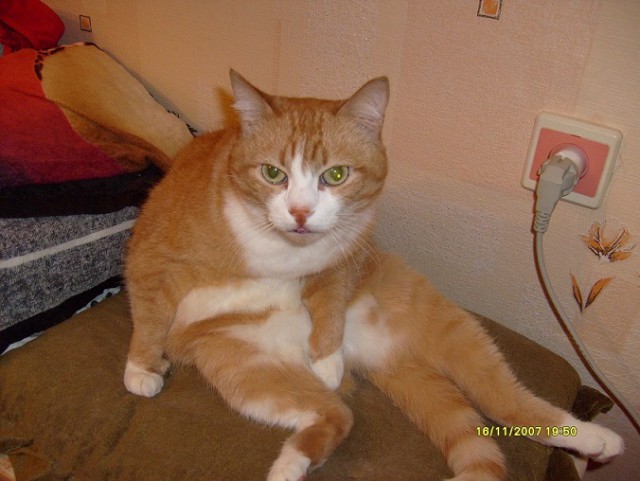 Как правильно давить слезу