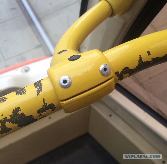 Они живые. Они смотрят на нас!