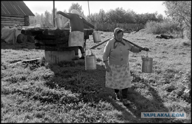 Вот оно какое наше лето!