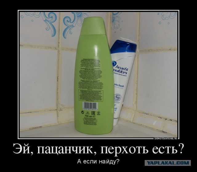 Прикольные картинки, интересные цитаты и мысли