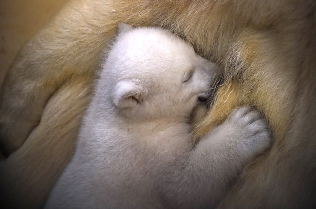 Подборка любопытных фотографий со всего света