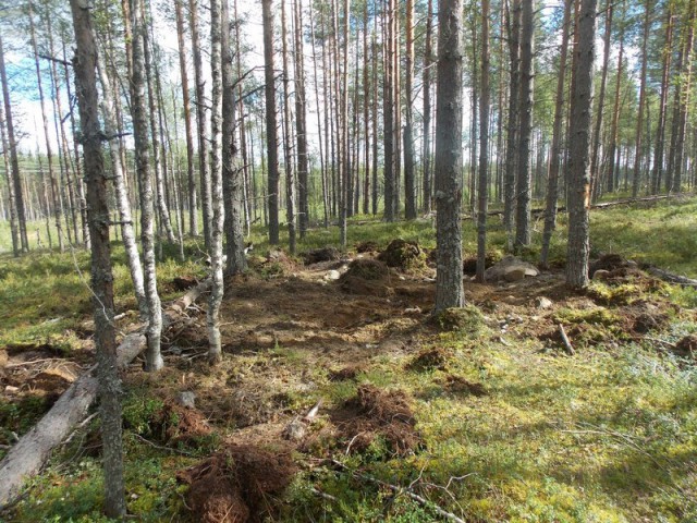 Эхо войны. История павшего красноармейца из санитарной роты