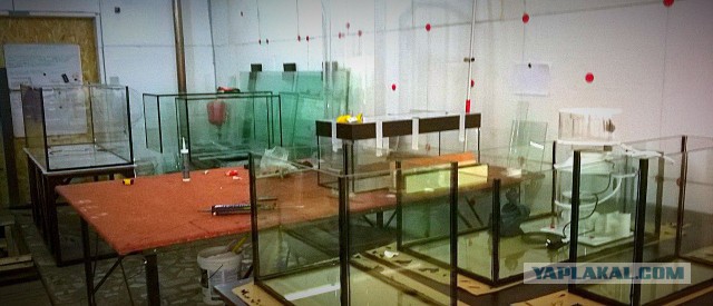 По аквариумным рыбам, аквариумы с растениями, выкладывайте свои видео и фото, полюбуемся!