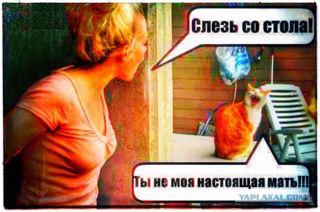 Маразмом по понедельнику