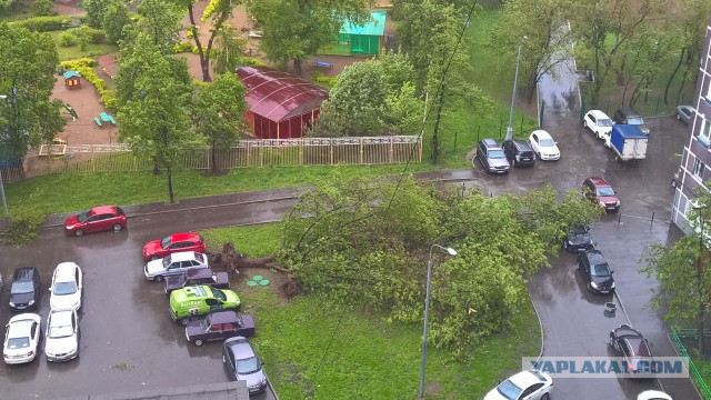 В Москве ураган!