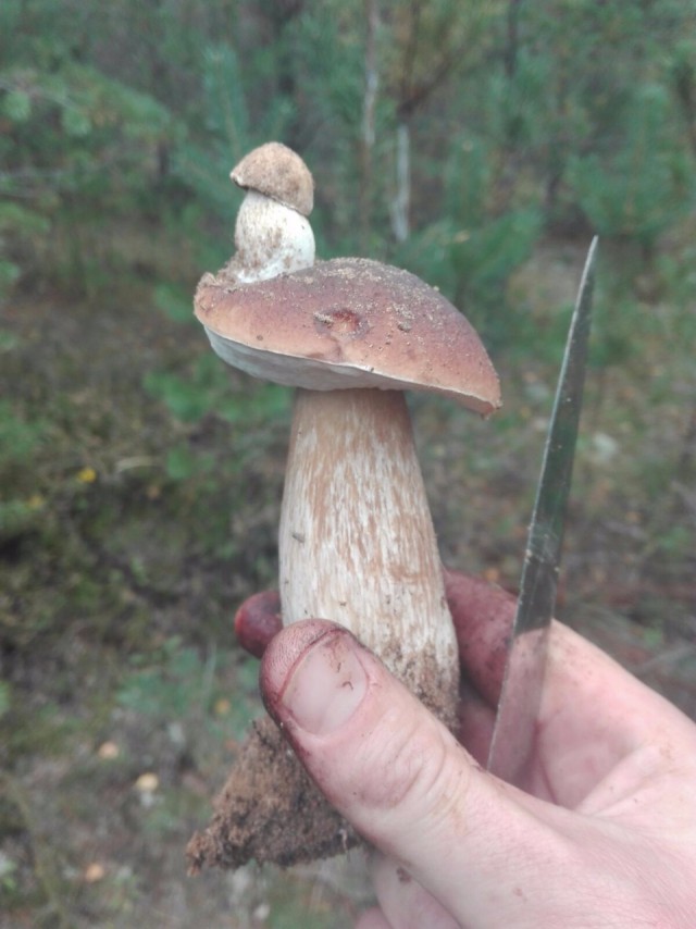 Лето - это маленькая жизнь