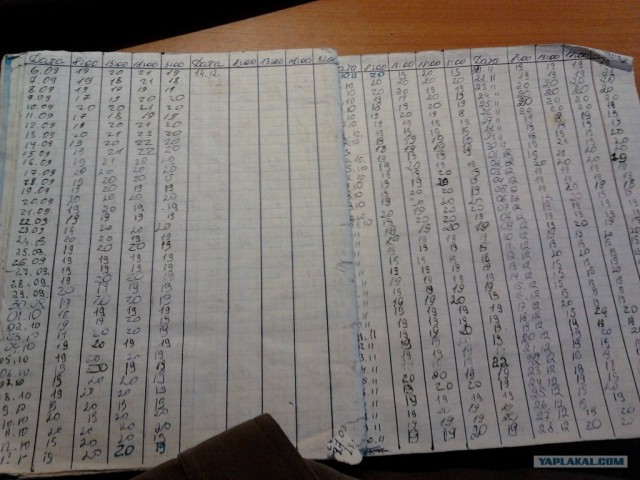 Служба ТП интернет провайдера