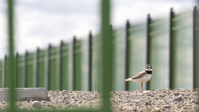 Просто Природа