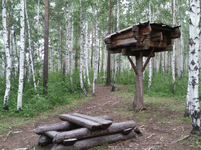 Диагноз: Срочно на Байкал