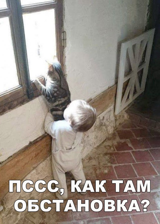 Прикольные картинки обо всём
