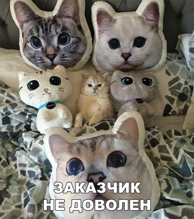 Немного милоты