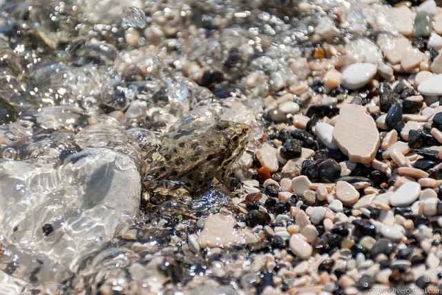 Есть на Волге утес...