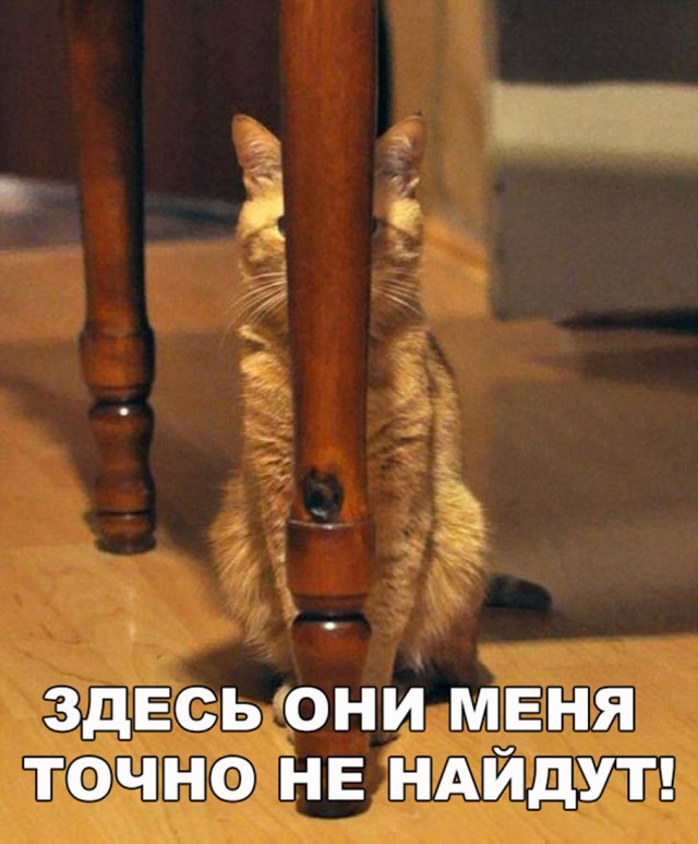 Немного милоты