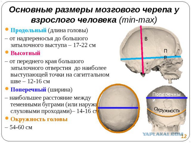 Скайлеб, очередной блеф от НАСА и прочие их фейки