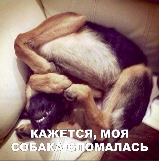 Нестандартный юмор