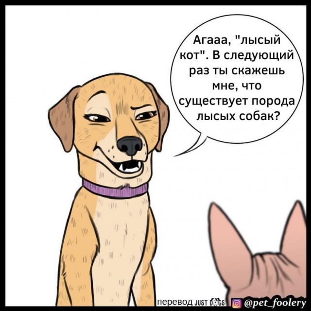 Бруд и Пикси