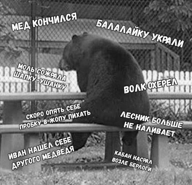 Дурацкие картинки
