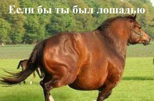 Немного картинок с надписями и без - 2