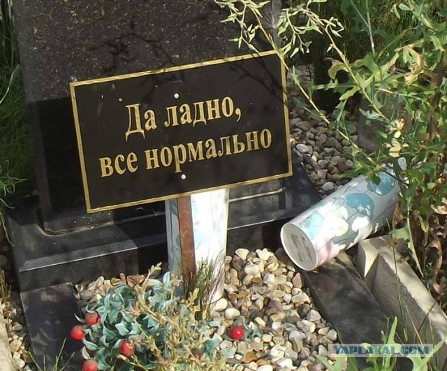 Перлы
